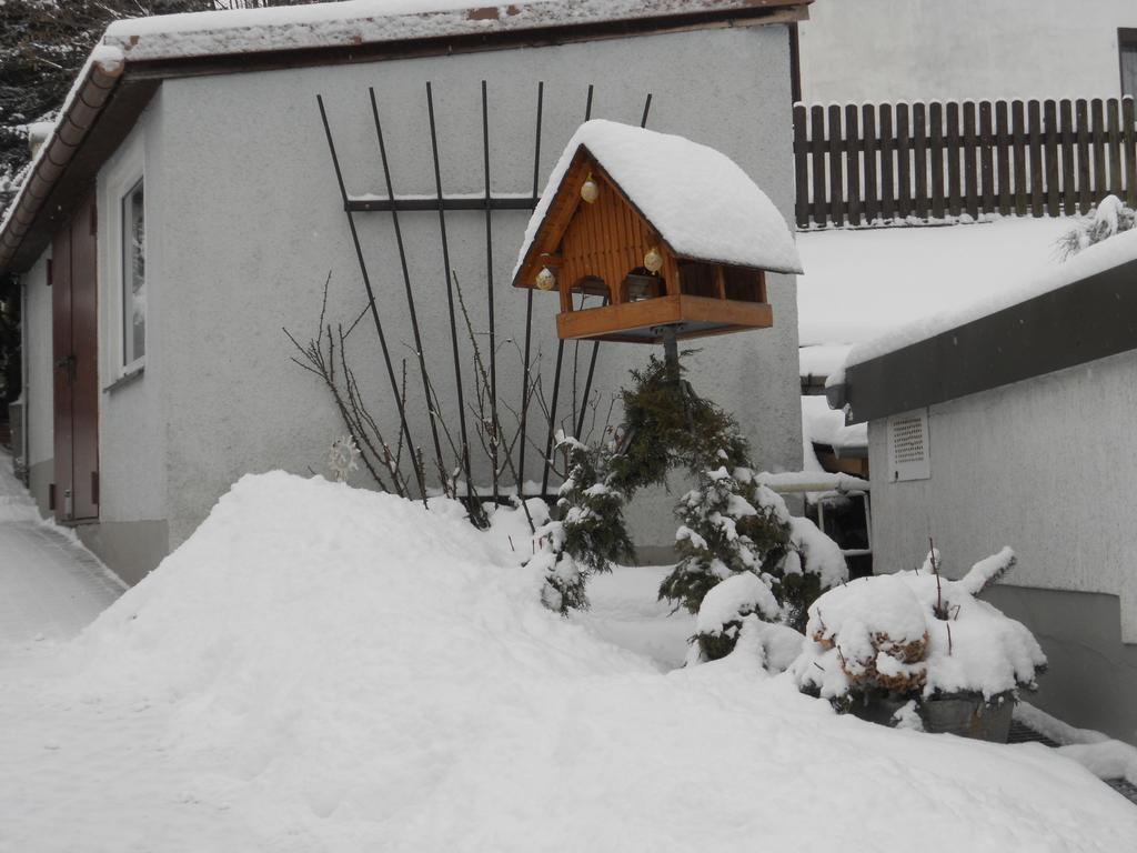 Ferienhaus Zittau Oberlausitz & Ferienwohnung Am Hamann Berg Eksteriør billede
