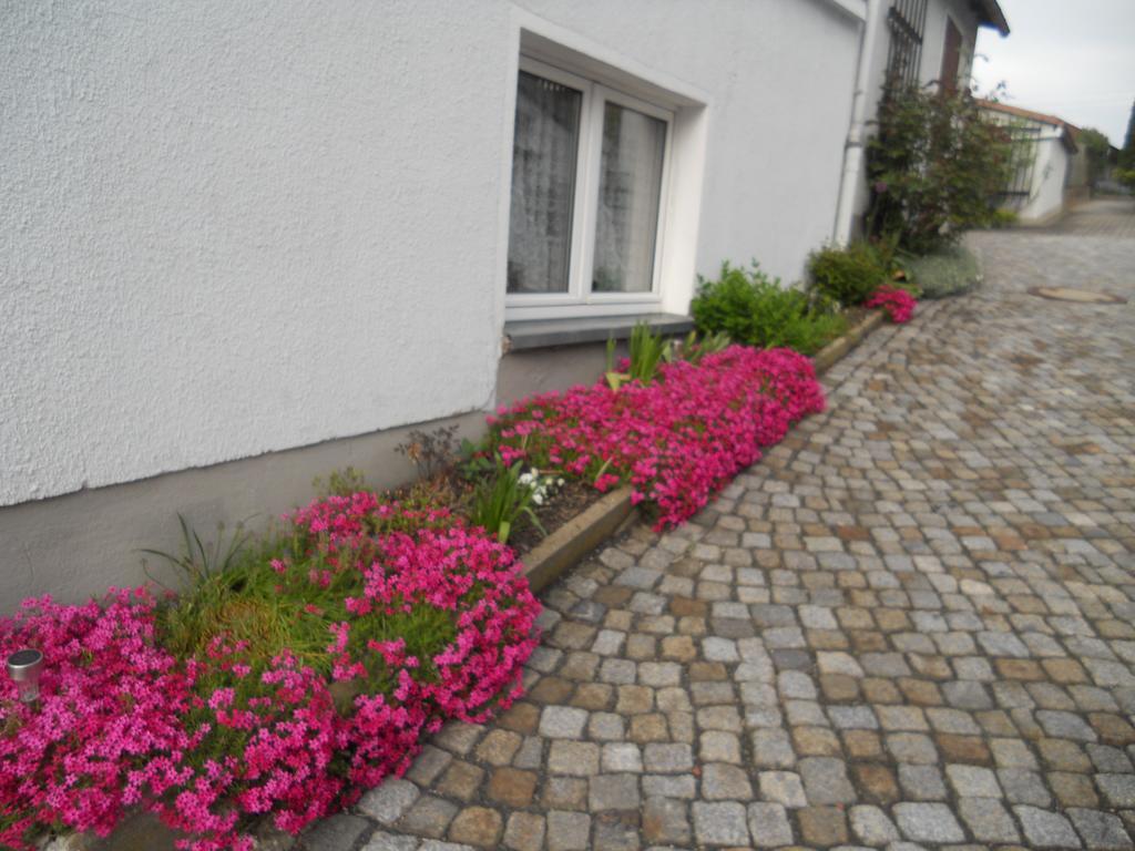 Ferienhaus Zittau Oberlausitz & Ferienwohnung Am Hamann Berg Eksteriør billede